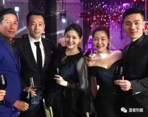 天涯爆料许雅钧视频全集,许雅钧视频全集揭秘，真相大白！